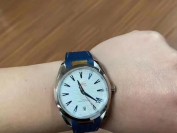 【第151期反馈】真假对比:VS厂欧米茄海马600和原版,差距多大?