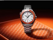 <strong>爆炸头配海洋宇宙?打破你对海马的固有印象</strong>